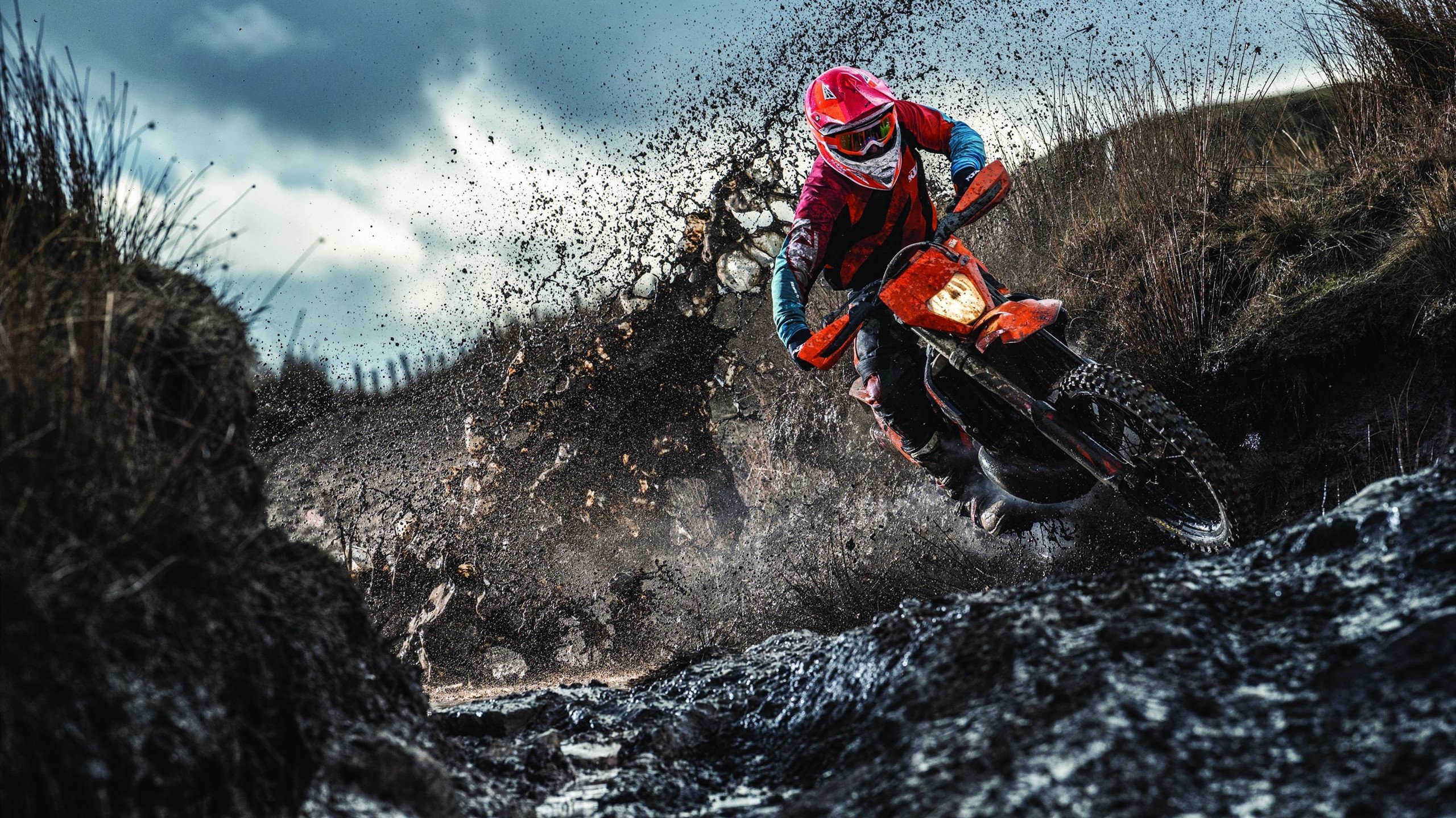 温网险胜美网，兹维列夫状态火热，网球格局暗流涌动